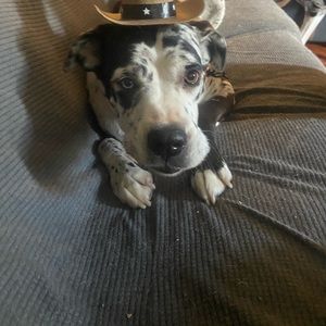 Meet your Posher, Jess